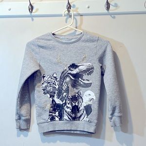 H&M What kind of Party is this? Dinosaur, Tiger, cheetah, Frenchie Sweatshirt